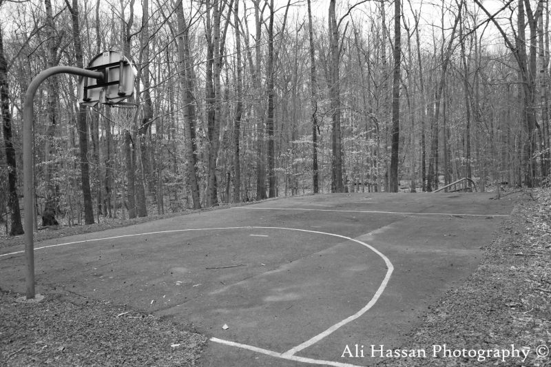 Image of a basketball court in the woods