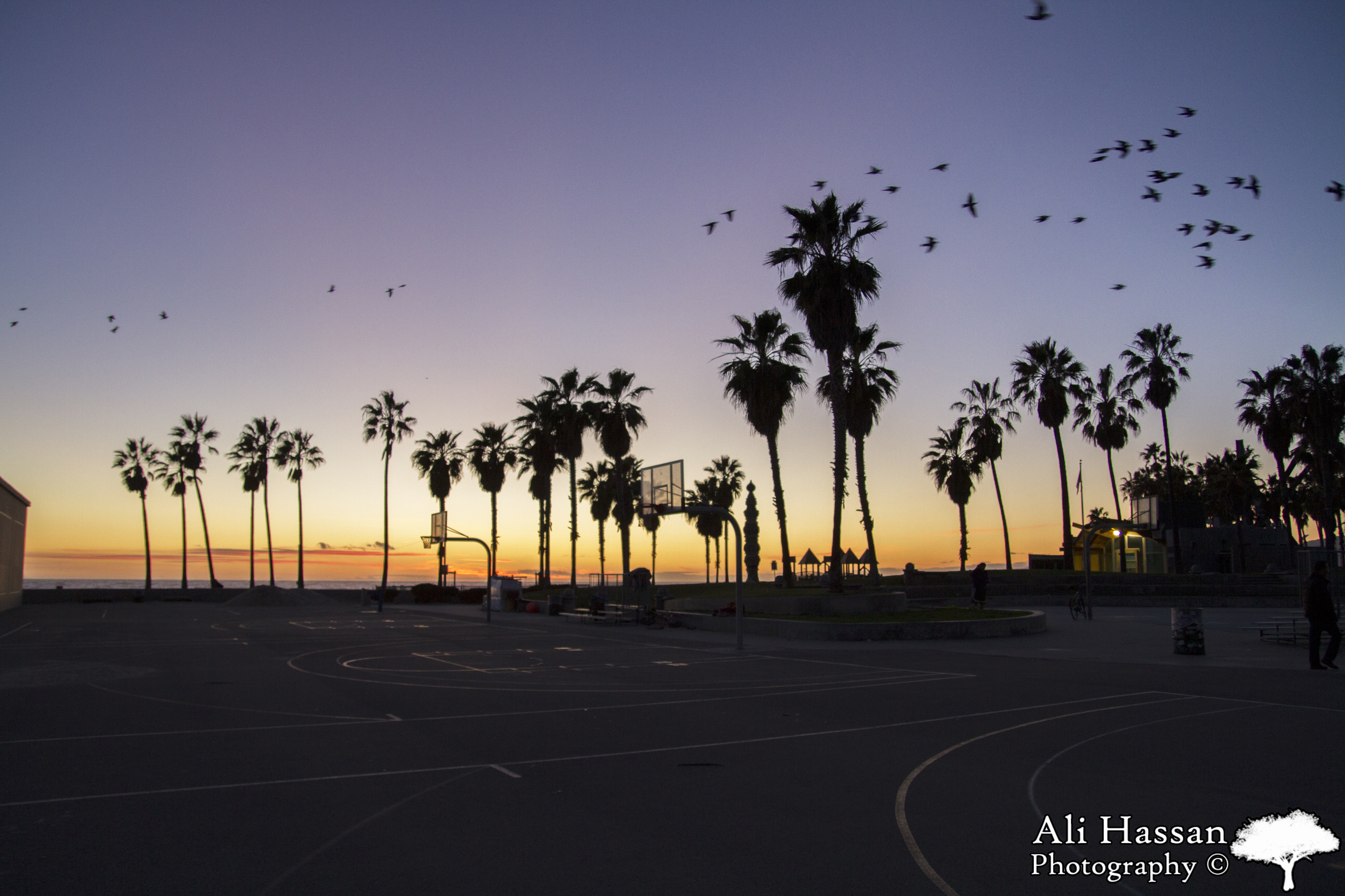 Venice Beach