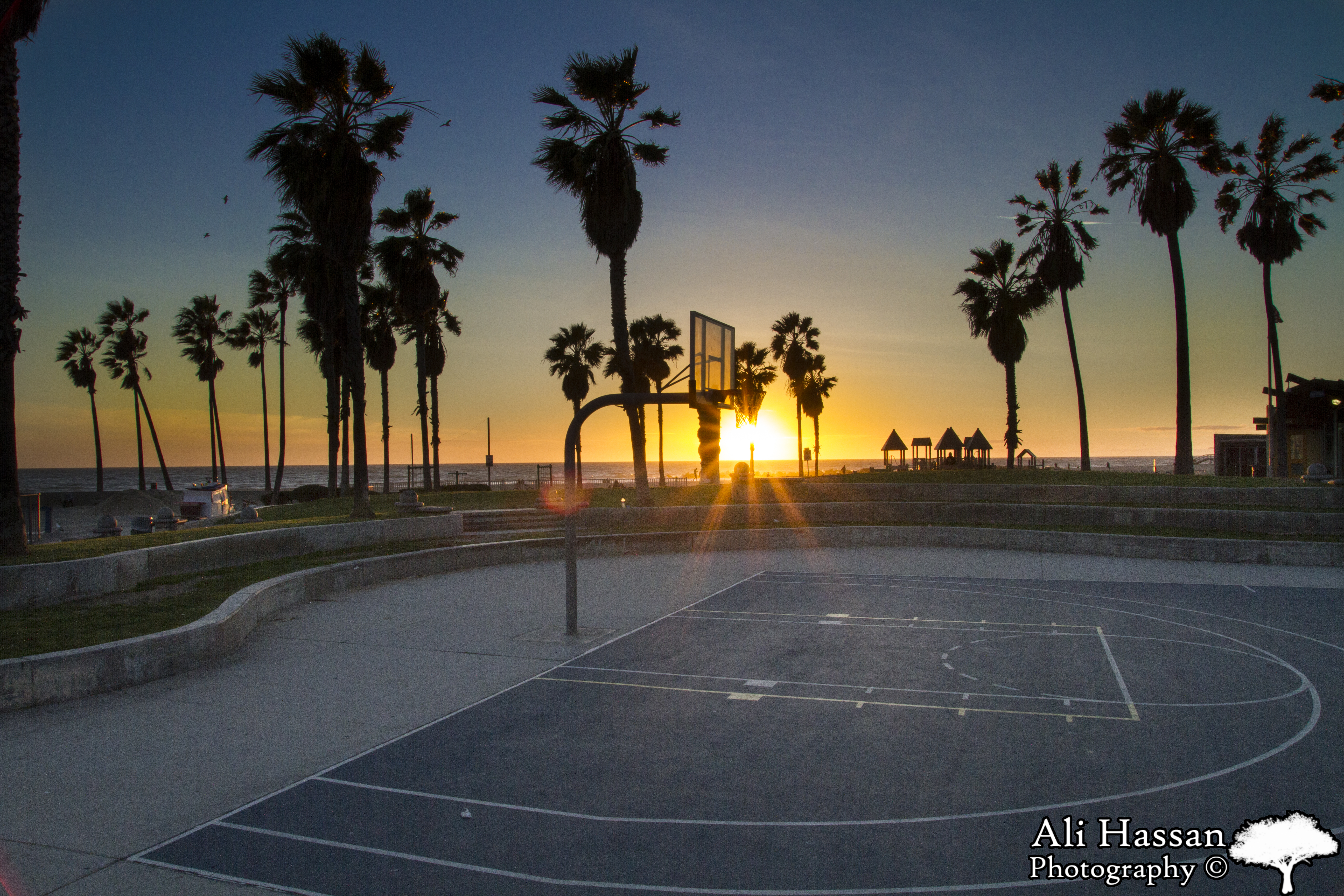 Venice Beach